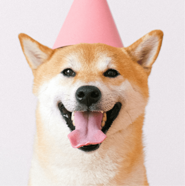 happy-dog-party-event